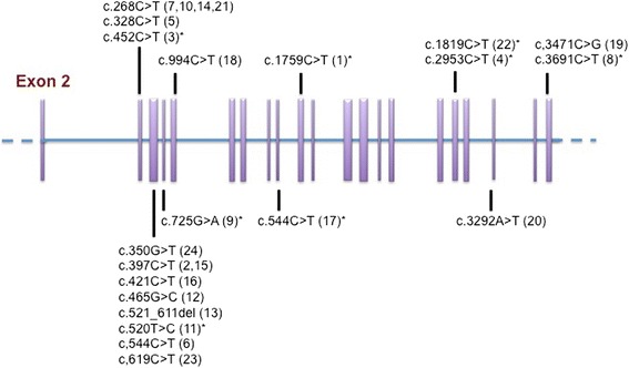 Fig. 1