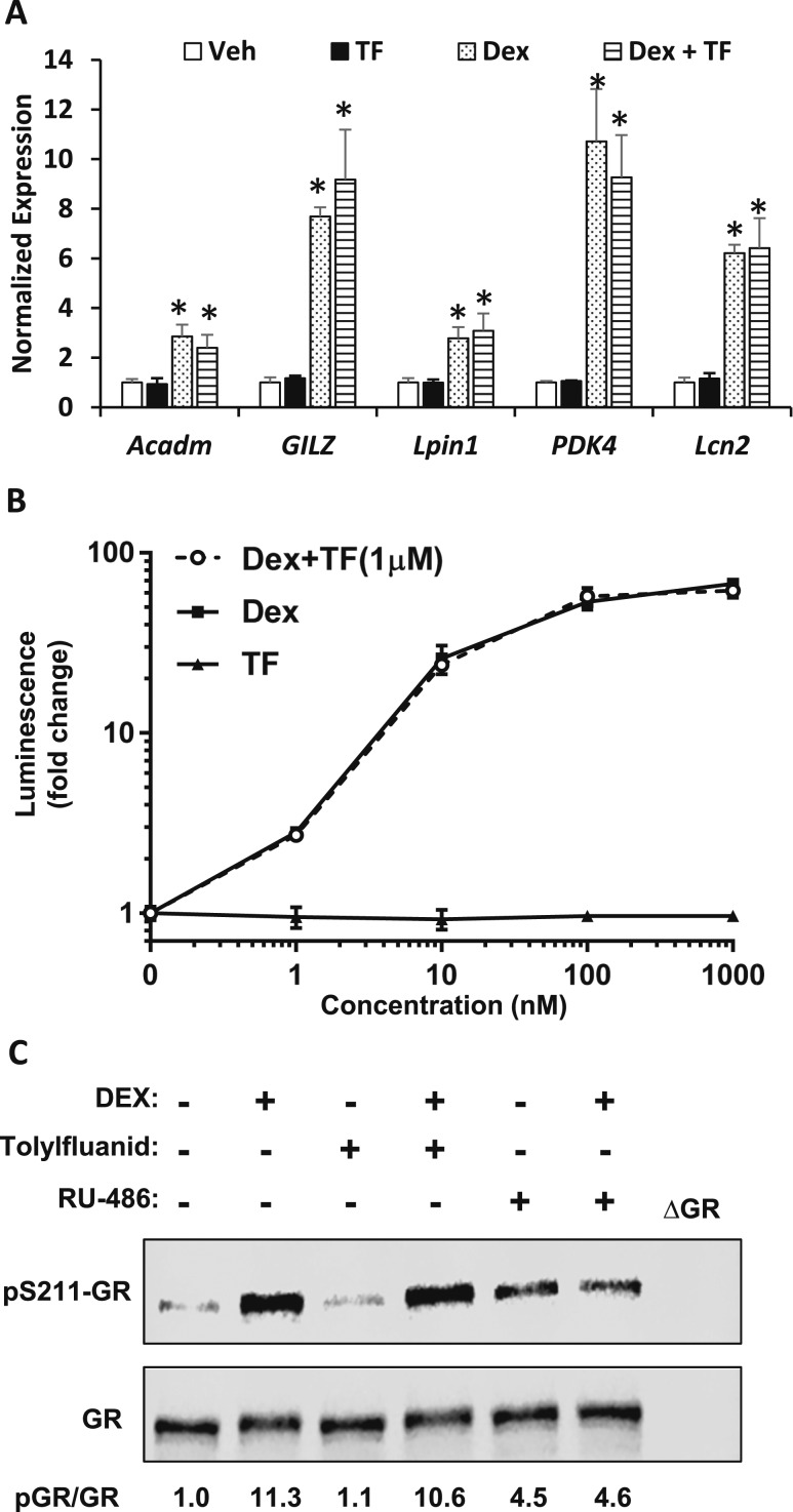 Figure 7.