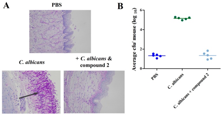 Figure 6