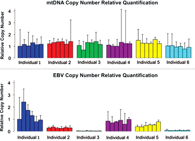 Figure 2.