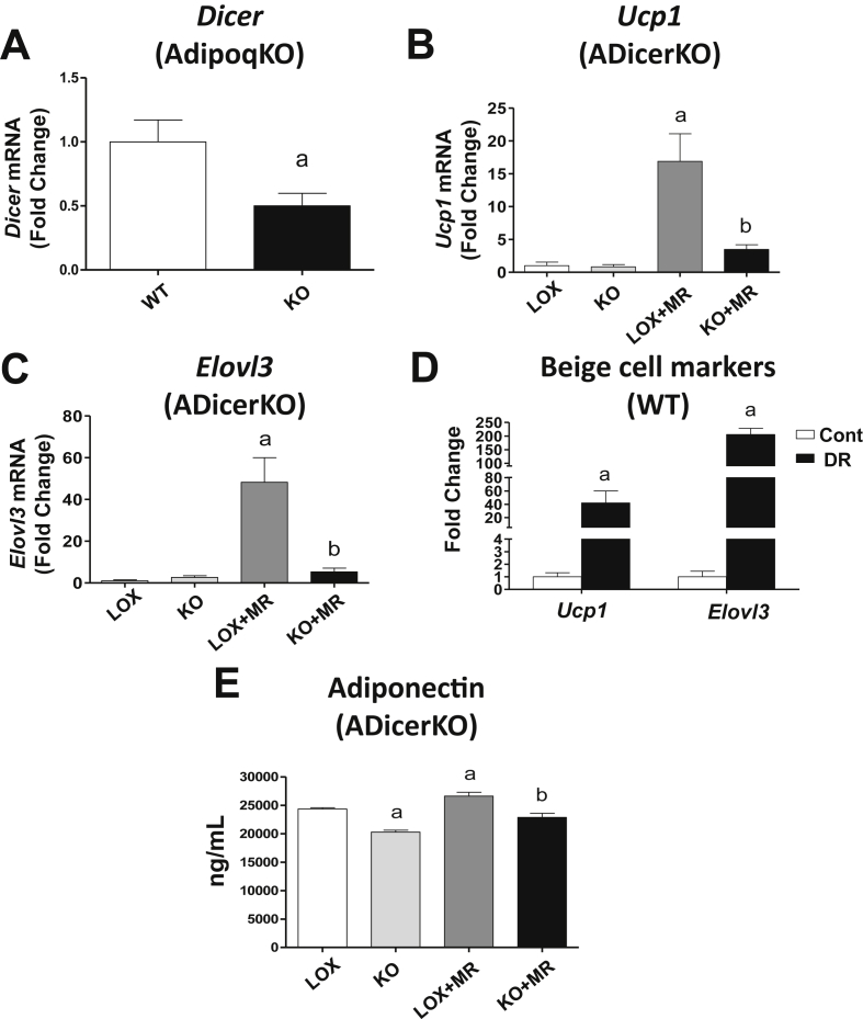 Figure 5