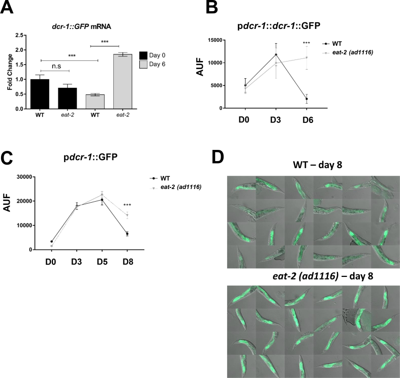 Figure 6