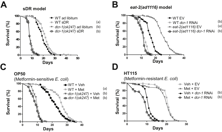 Figure 7