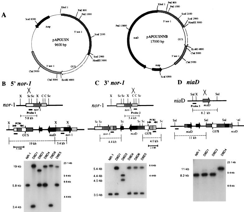 FIG. 1.