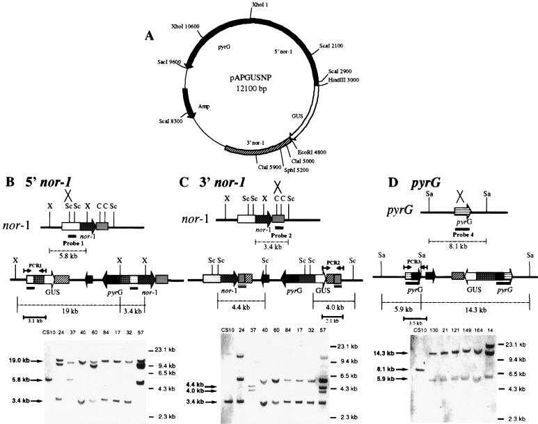 FIG. 5.