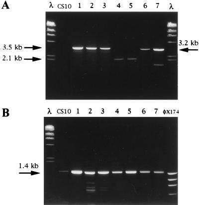 FIG. 6.