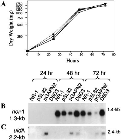 FIG. 3.