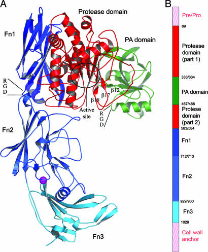 Fig. 1.