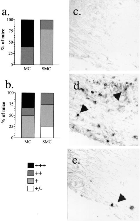 FIG. 8.