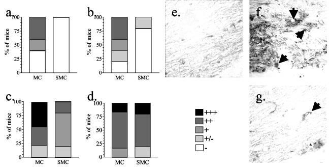 FIG. 7.