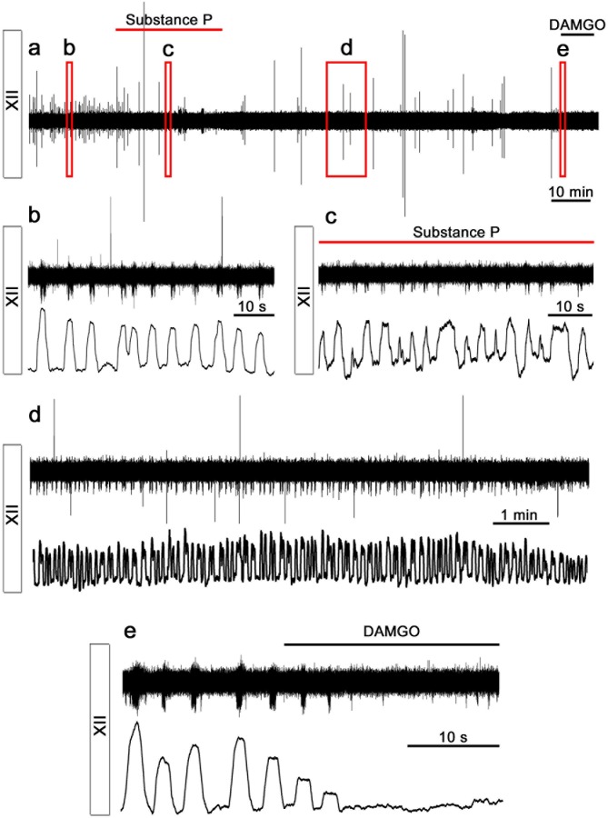 Figure 5—figure supplement 1.