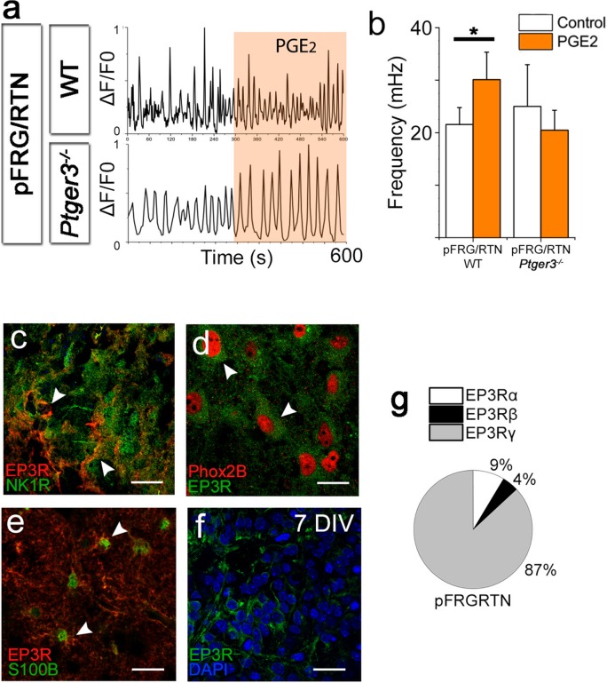 Figure 12.