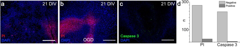 Figure 2—figure supplement 3.