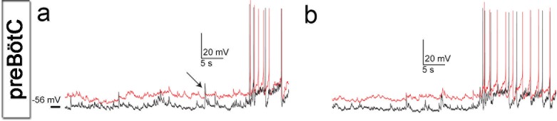 Figure 3—figure supplement 1.