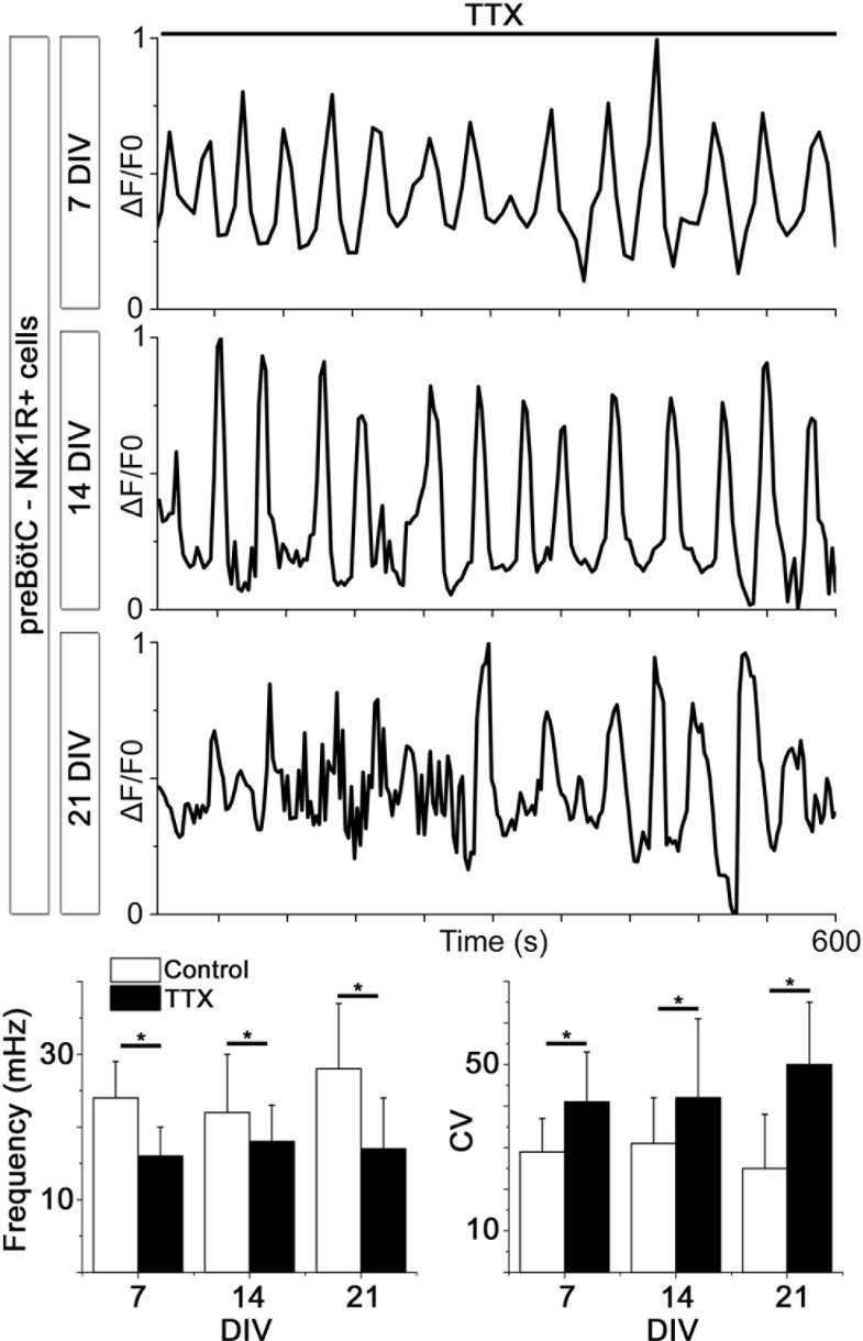 Figure 4—figure supplement 2.