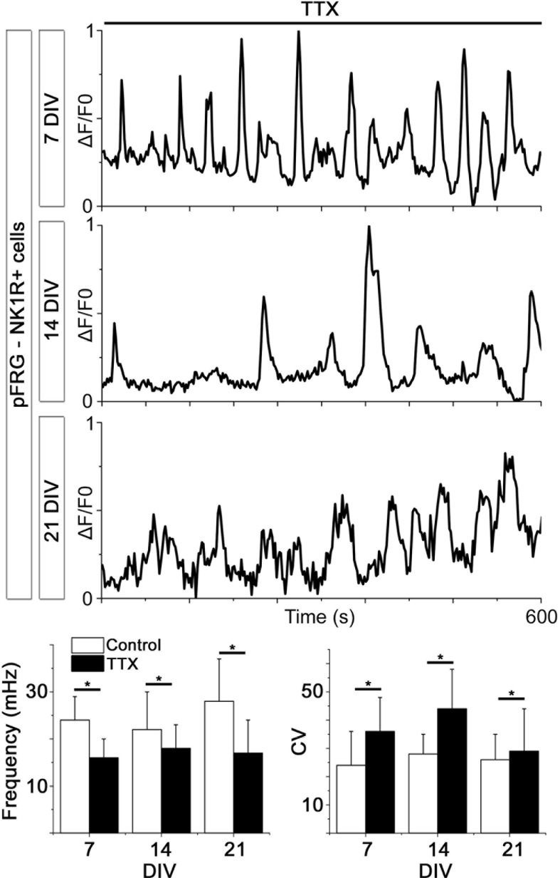 Figure 9—figure supplement 1.