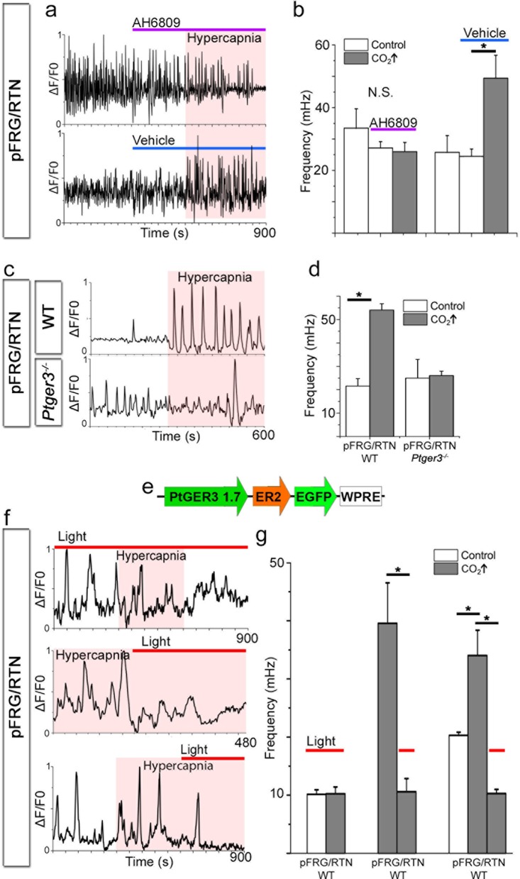 Figure 13.