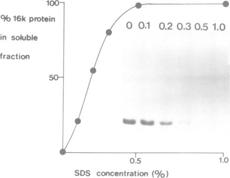 Fig. 10.