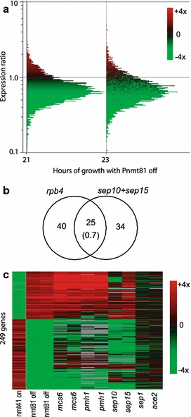 Fig. 4