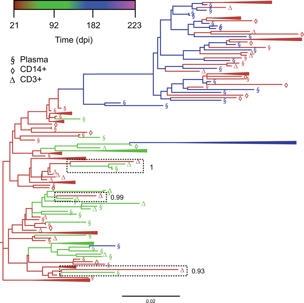 Fig. (2).