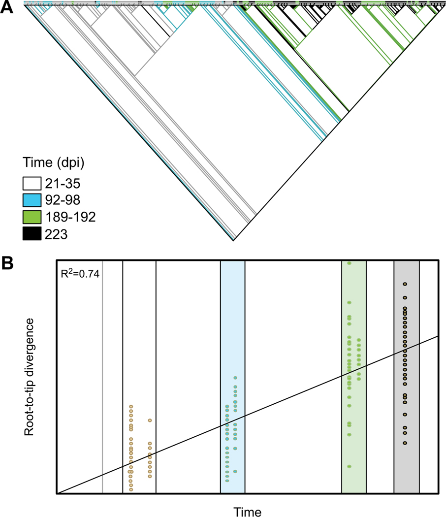 Fig. (3).