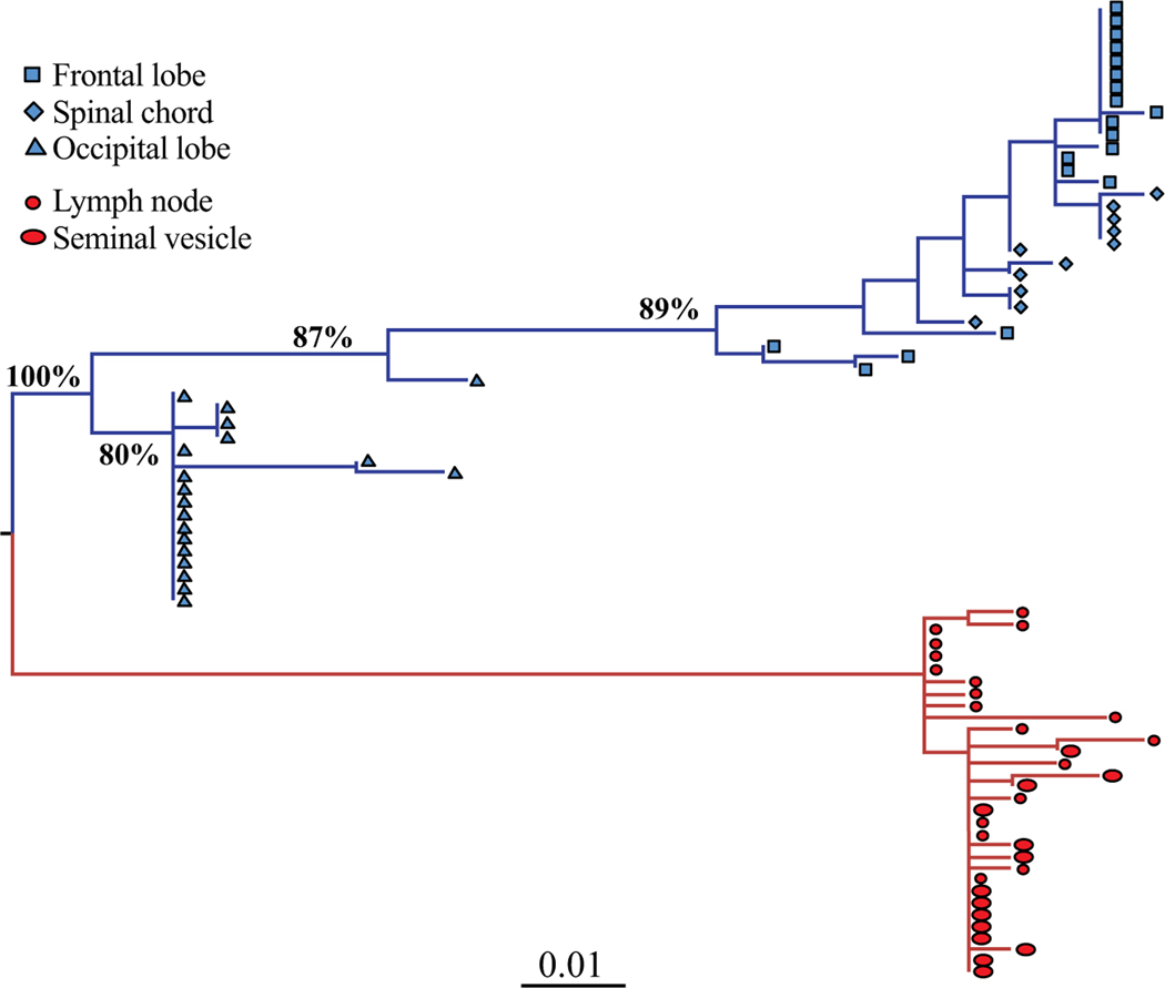 Fig. (1).