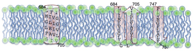 Fig. 5. 