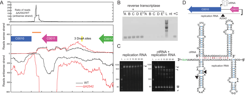 Figure 4.