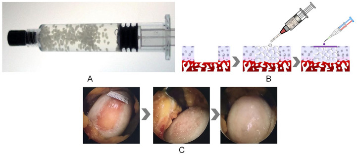 Figure 2.