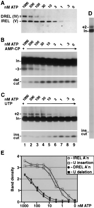 FIG. 2.