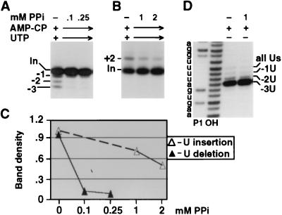 FIG. 6.