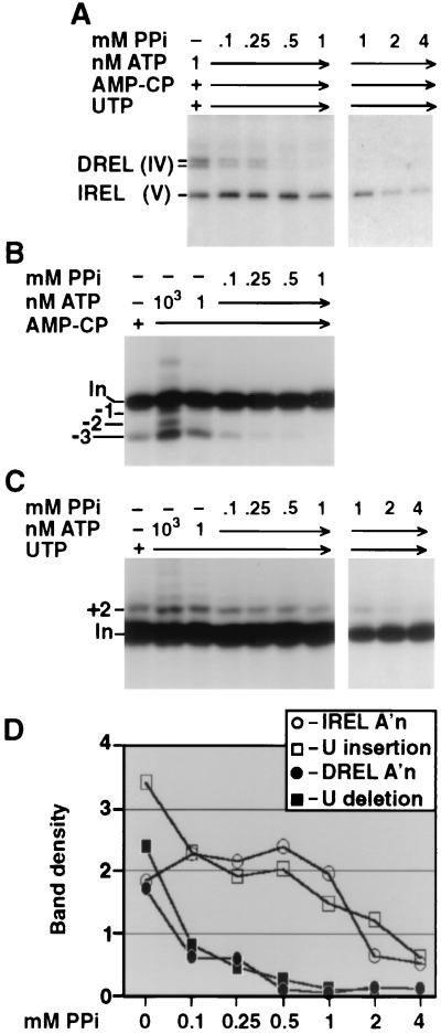 FIG. 5.