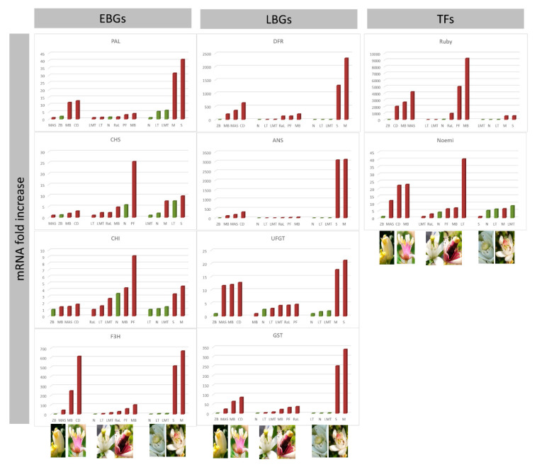 Figure 11