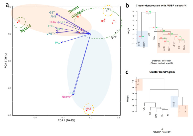 Figure 10