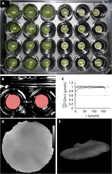 Figure 2.