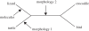 Figure 1.