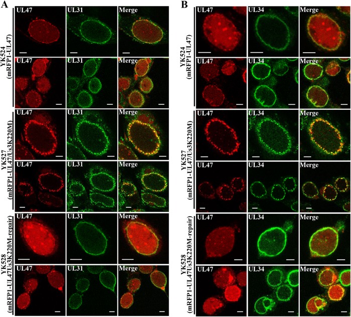 FIG 3