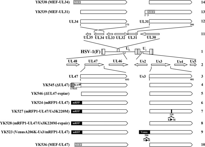 FIG 1