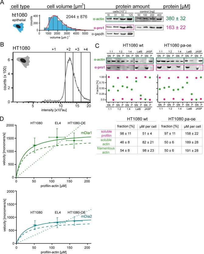 Figure 6—figure supplement 2.