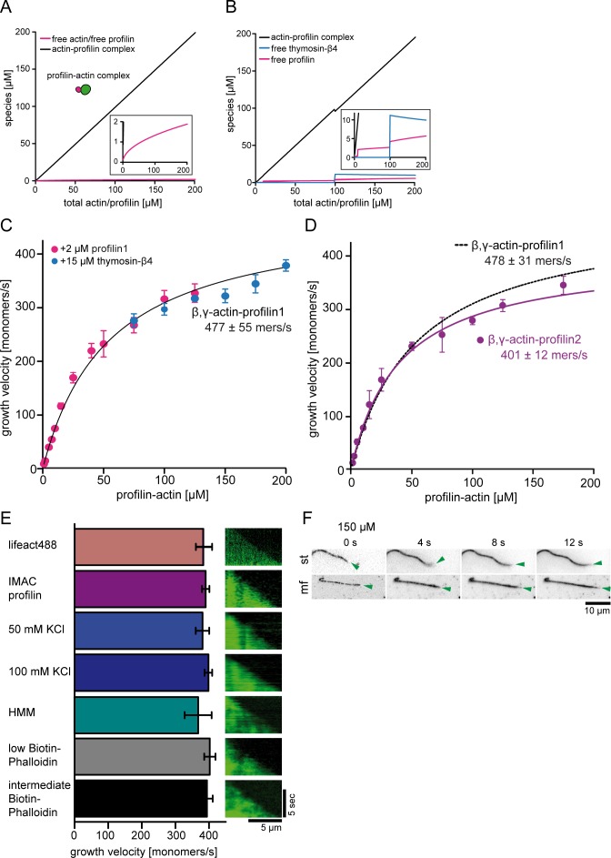 Figure 2—figure supplement 1.