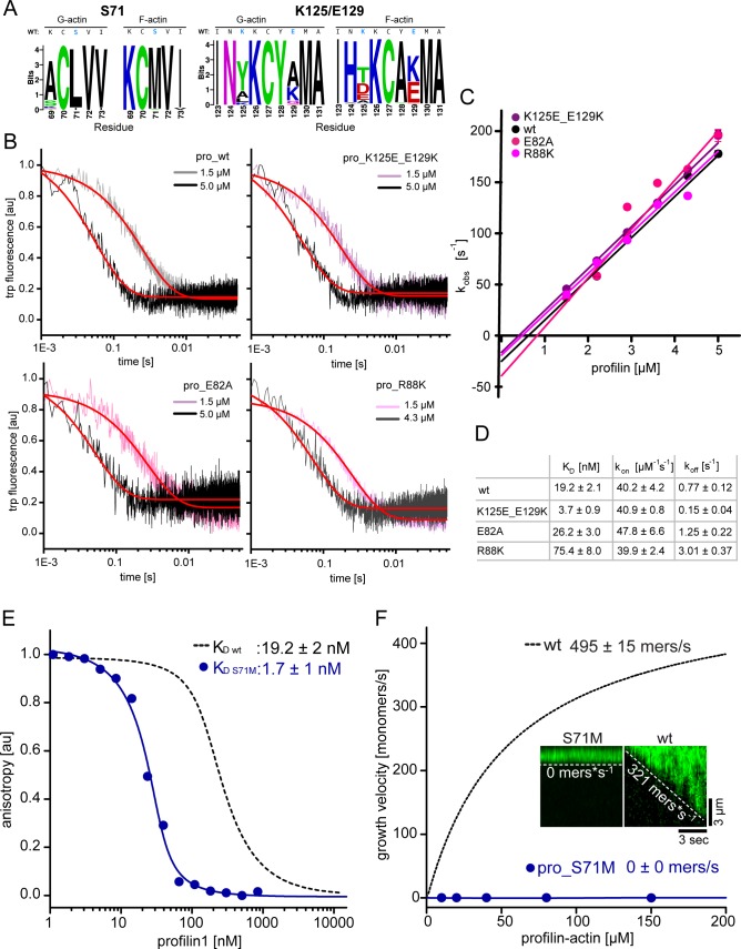 Figure 3—figure supplement 1.