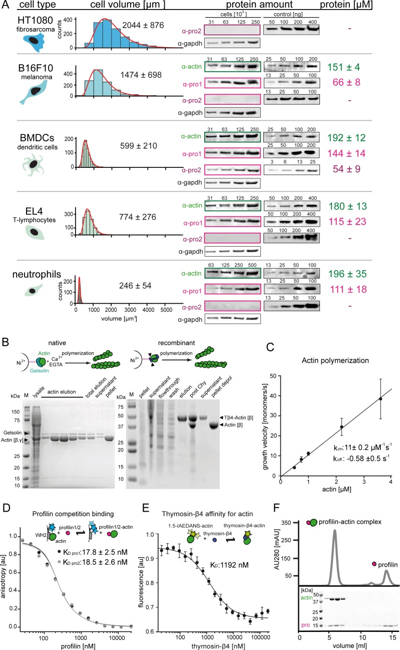 Figure 1—figure supplement 1.