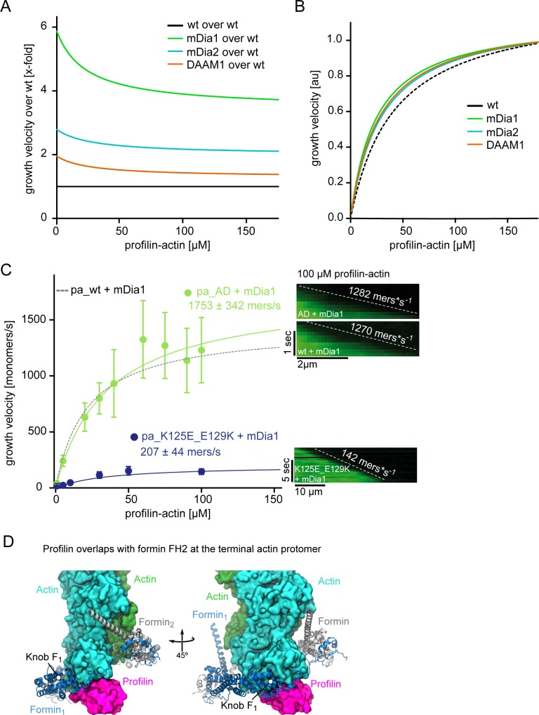 Figure 5—figure supplement 1.