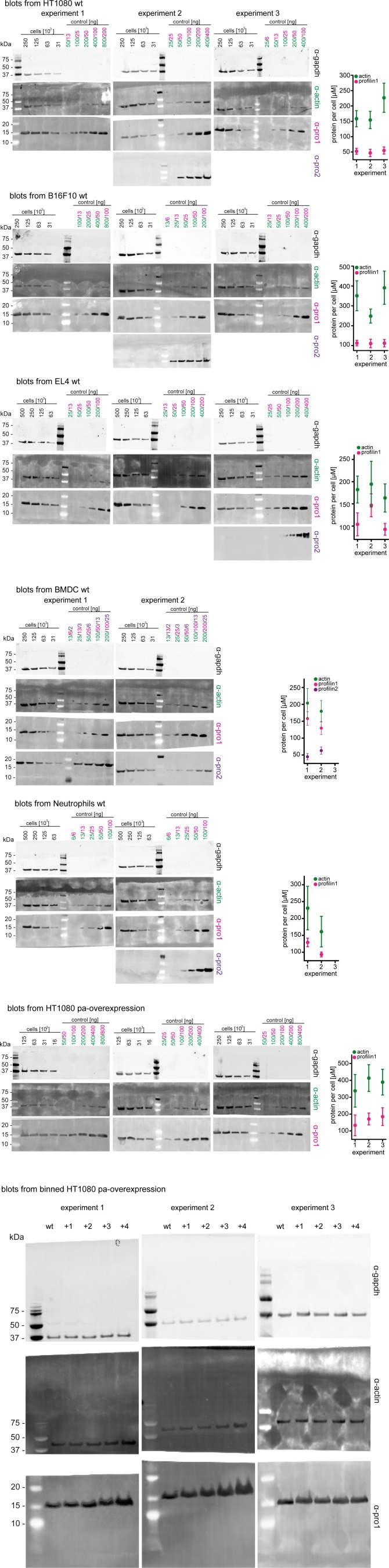 Figure 1—figure supplement 2.