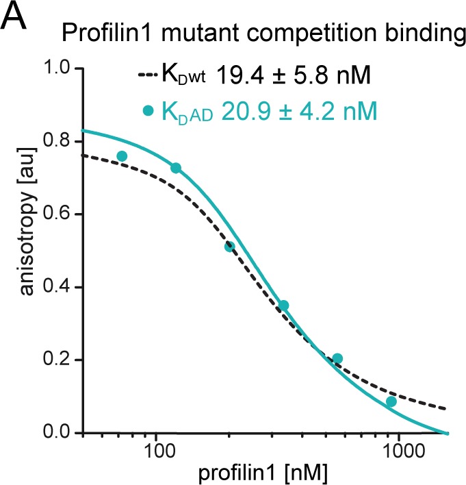 Figure 4—figure supplement 1.