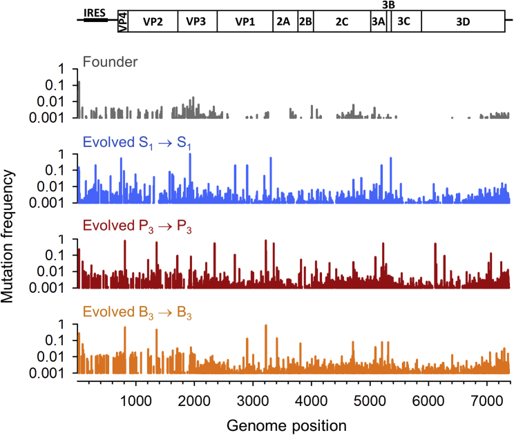 Figure 4