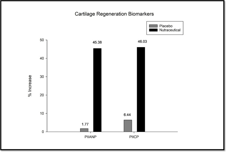 Fig. 8
