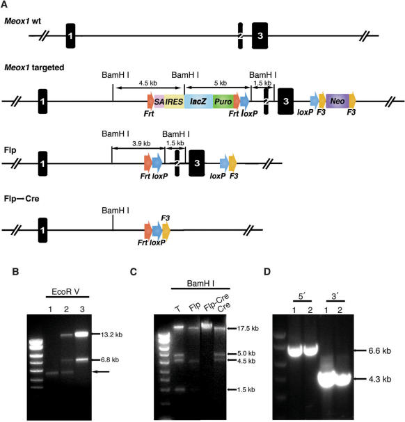 Figure 3.