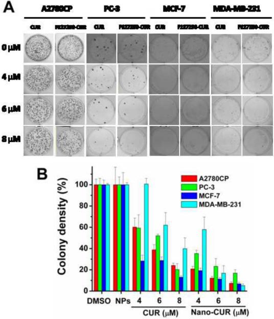 Fig. 9