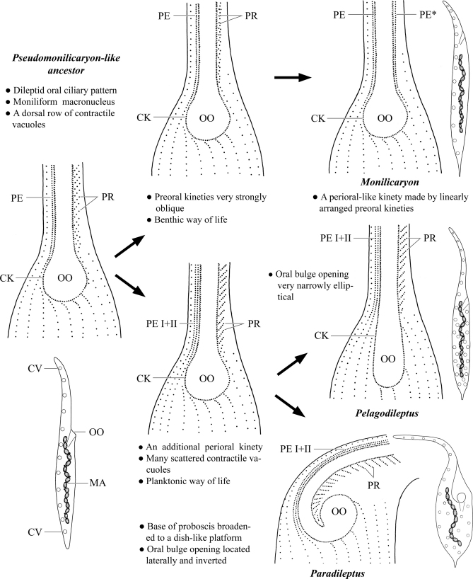 Fig. 5